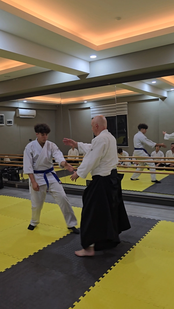 Dr. Bodo Rödel Aikido teknik anlatımı yaparken