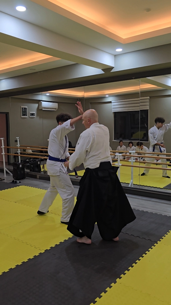 Aikizen Dojo öğrencileri seminer pratiği sırasında