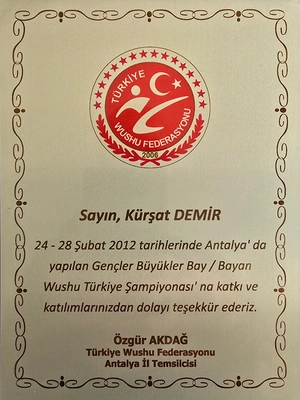 Türkiye Wushu Federasyonu Katılım Belgesi
